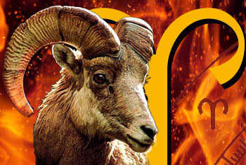 symbol meaning aries and and Its Astrology Origin in Meaning symbol meaning aries and and Its Astrology Origin in Meaning